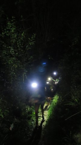 Noz_Trail_2024