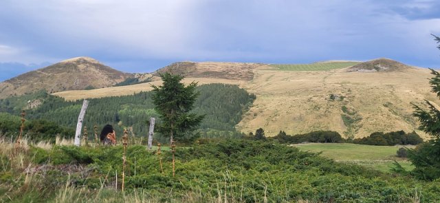 Transvolcanique_2025